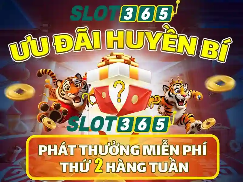 Slot365 uy tín không – Giới thiệu đầy đủ