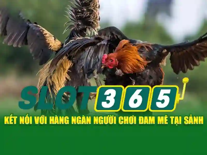 Việt Vị Trong Bóng Đá
