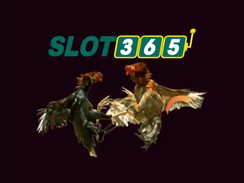 slot365 win – Tổng quan chủ đề và giá trị cốt lõi