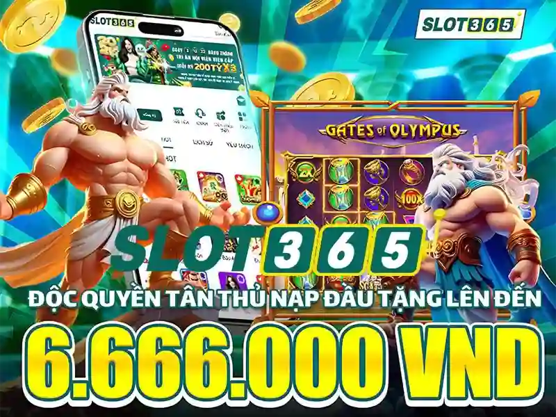slot365 – Trải nghiệm người dùng và phản hồi cộng đồng